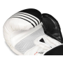 Boxerské rukavice DBX BUSHIDO B-2v3A 12 oz