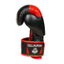 Boxerské rukavice DBX BUSHIDO B-2v4 10 oz