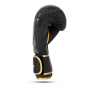 GOLD DRAGON 8 OZ BOXERSKÉ RUKAVICE DBX BUSHIDO
