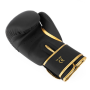 GOLD DRAGON 12 OZ BOXERSKÉ RUKAVICE DBX BUSHIDO