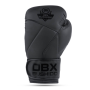 B-2V15B 12 OZ BOXERSKÉ RUKAVICE DBX BUSHIDO