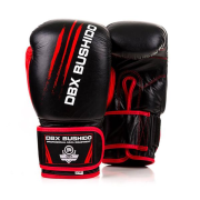 ARB-415 10 OZ BOXERSKÉ RUKAVICE DBX BUSHIDO