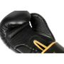 B-2v17 8 OZ BOXERSKÉ RUKAVICE  DBX BUSHIDO