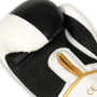 B-2V16 12 OZ BOXERSKÉ RUKAVICE DBX BUSHIDO