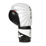 B-2V8 10 OZ BOXERSKÉ RUKAVICE DBX BUSHIDO