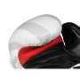 B-2V8 10 OZ BOXERSKÉ RUKAVICE DBX BUSHIDO