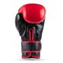 WARRIOR RED 12 OZ. BOXERSKÉ RUKAVICE DBX BUSHIDO