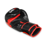 Boxerské rukavice DBX BUSHIDO B-2v4 10 oz