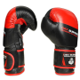 Boxerské rukavice DBX BUSHIDO B-2v4 12 oz