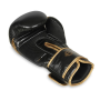 B-2v13 10 OZ BOXERSKÉ RUKAVICE  DBX BUSHIDO