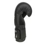 B-2v12 12 OZ BOXERSKÉ RUKAVICE  DBX BUSHIDO
