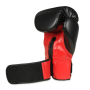 B-2v15 12 OZ BOXERSKÉ RUKAVICE DBX BUSHIDO