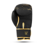 GOLD DRAGON 12 OZ BOXERSKÉ RUKAVICE DBX BUSHIDO