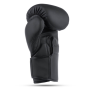 B-2V15B 10 OZ BOXERSKÉ RUKAVICE DBX BUSHIDO