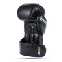 STRIKER 14 OZ BOXERSKÉ RUKAVICE DBX BUSHIDO