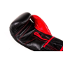 ARB-415 14 OZ BOXERSKÉ RUKAVICE DBX BUSHIDO
