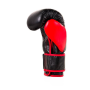 ARB-415 14 OZ BOXERSKÉ RUKAVICE DBX BUSHIDO