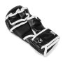 E1V9 VEL.XL MMA RUKAVICE DBX BUSHIDO