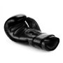 WARRIOR BLACK 10 OZ. BOXERSKÉ RUKAVICE DBX BUSHIDO