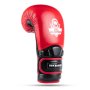 WARRIOR RED 10 OZ. BOXERSKÉ RUKAVICE DBX BUSHIDO