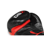 Boxerské rukavice DBX BUSHIDO B-2v4 10 oz