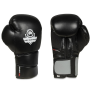 B-2v9 10 oz. boxerské rukavice DBX BUSHIDO