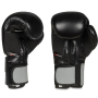 B-2v9 12 oz. boxerské rukavice DBX BUSHIDO