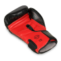 B-2v15 12 OZ BOXERSKÉ RUKAVICE DBX BUSHIDO