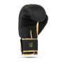 GOLD DRAGON 12 OZ BOXERSKÉ RUKAVICE DBX BUSHIDO