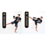 SBRX PRÁZDNÝ 140 X 31 CM BOXOVACÍ PYTEL DBX BUSHIDO