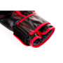 ARB-415 16 OZ BOXERSKÉ RUKAVICE DBX BUSHIDO