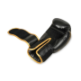 B-2v17 8 OZ BOXERSKÉ RUKAVICE  DBX BUSHIDO