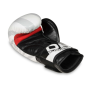 B-2V8 10 OZ BOXERSKÉ RUKAVICE DBX BUSHIDO