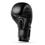 WARRIOR BLACK 12 OZ. BOXERSKÉ RUKAVICE DBX BUSHIDO