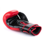 WARRIOR RED 10 OZ. BOXERSKÉ RUKAVICE DBX BUSHIDO